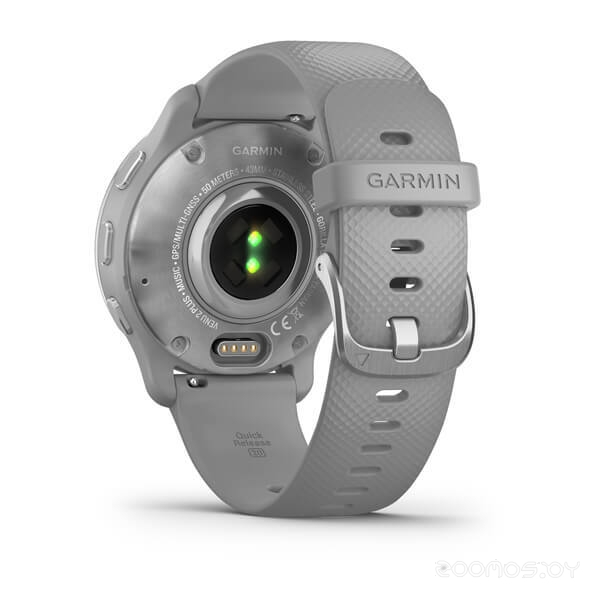 Умные часы Garmin Venu 2 Plus (серебристый/серый)