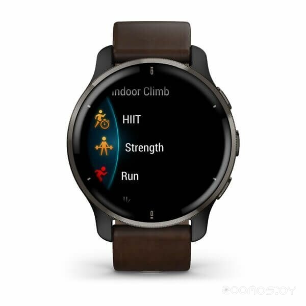 Умные часы Garmin Venu 2 Plus (черный/коричневый)