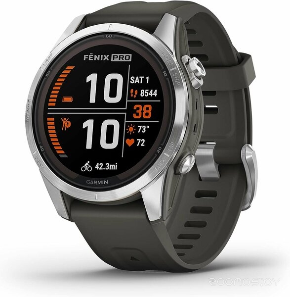 Умные часы Garmin Fenix 7S Pro Solar (серебро/графит)