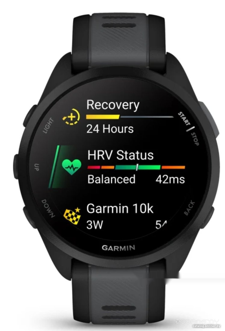 Умные часы Garmin Forerunner 165 (черный/сланцево-серый)