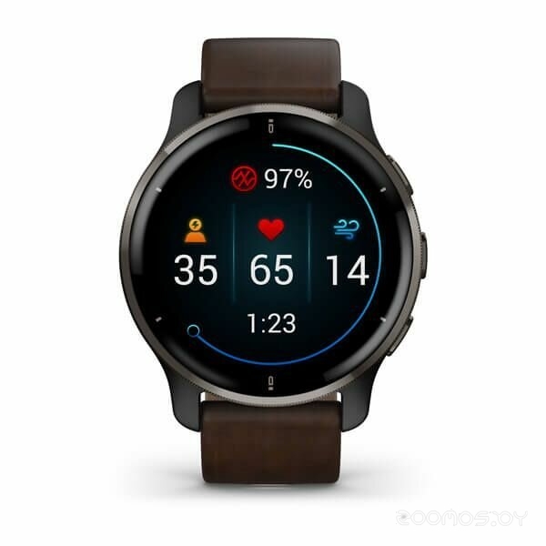 Умные часы Garmin Venu 2 Plus (черный/коричневый)