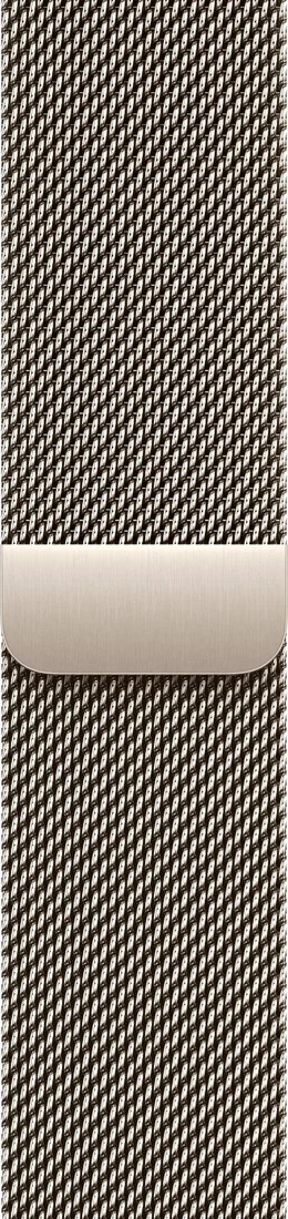 Apple Watch Series 10 LTE 42 мм (титановый корпус, титановый/титановый, миланская петля)