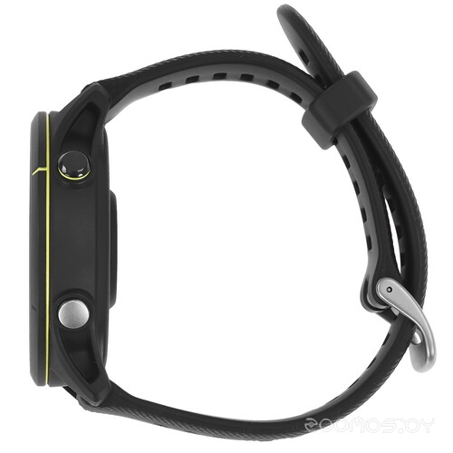 Умные часы Garmin Forerunner 255 Music (черный)