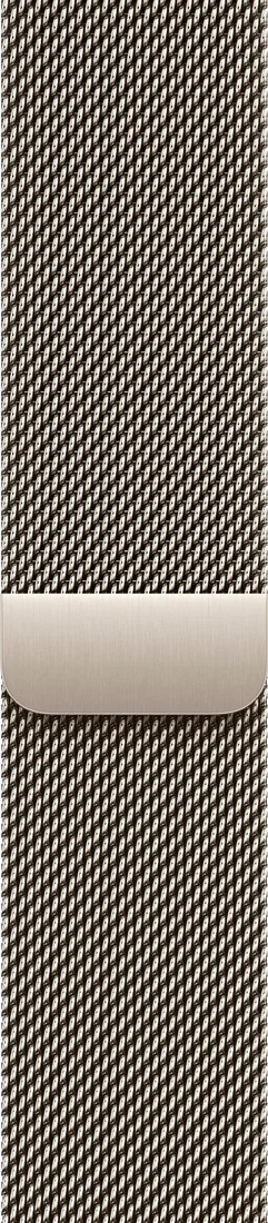 Apple Watch Series 10 LTE 46 мм (титановый корпус, титановый/титановый, миланская петля)