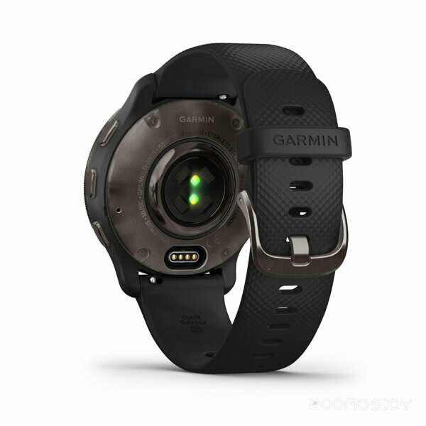 Умные часы Garmin Venu 2 Plus (черный)
