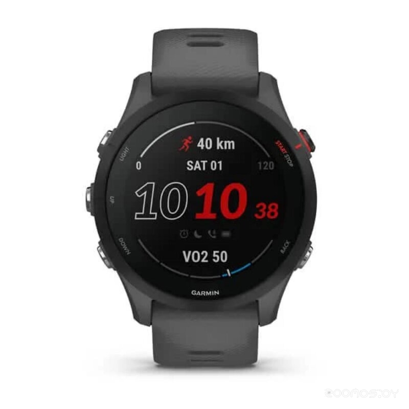 Умные часы Garmin Fenix 7S Sapphire Solar 42 мм (темно-бронзовый титан/сланцевый)