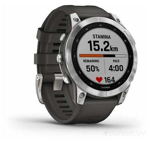 Умные часы Garmin Fenix 7 Solar (серебристый/графитовый)