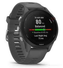 Умные часы Garmin Forerunner 255 46 мм (сланцево-серый/черный)