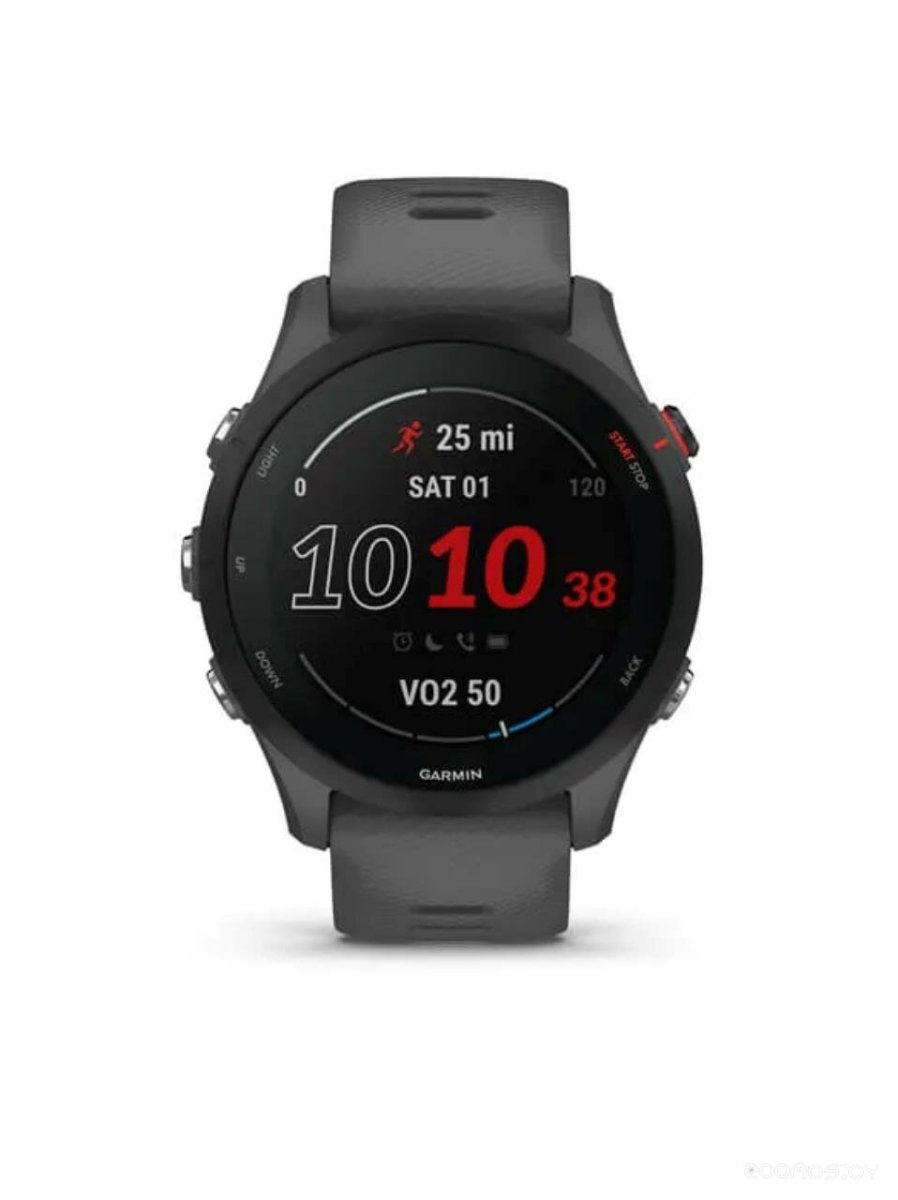 Умные часы Garmin Forerunner 255 46 мм (сланцево-серый/черный)
