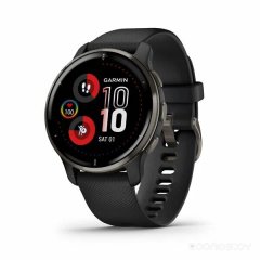 Умные часы Garmin Venu 2 Plus (черный)