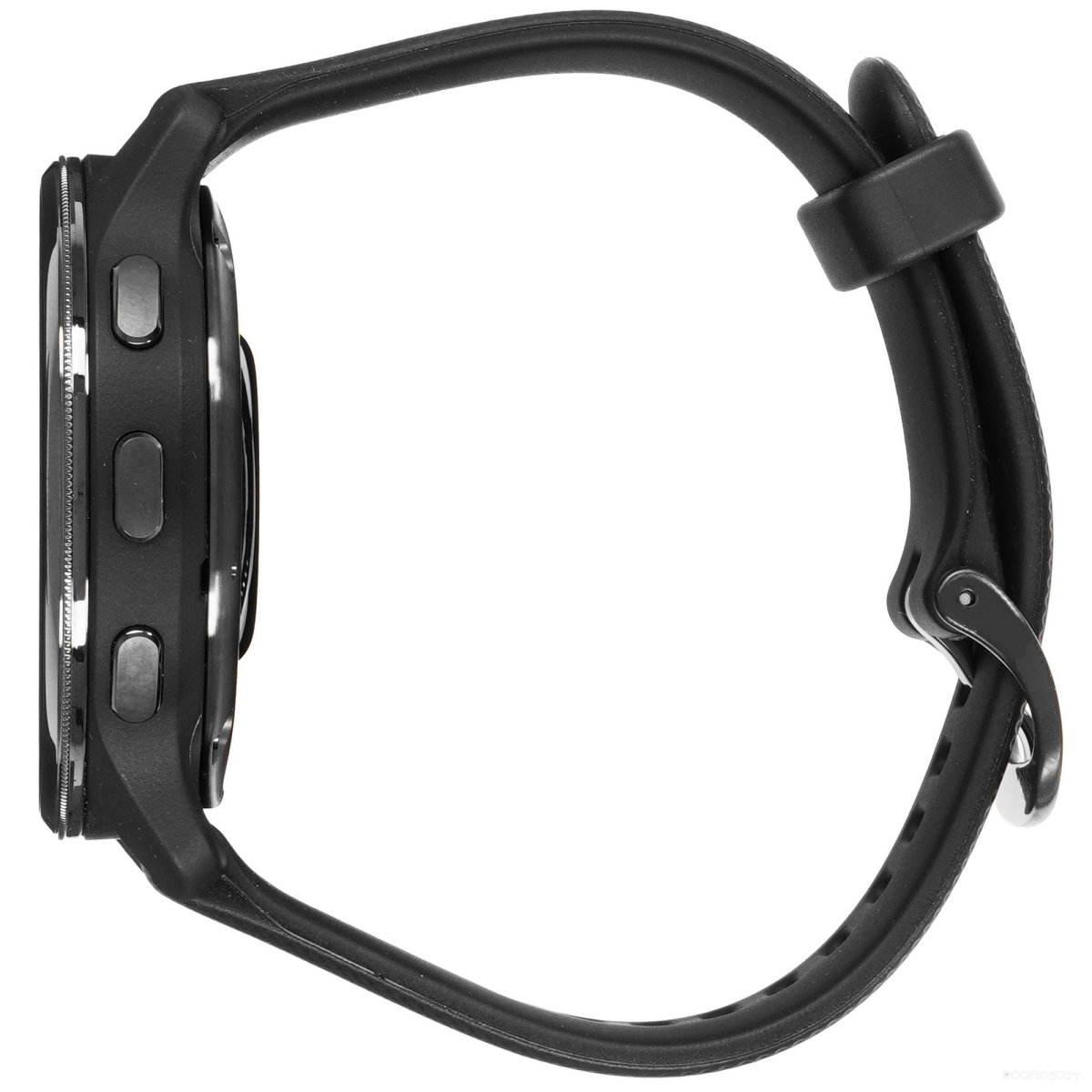 Умные часы Garmin Venu 2 Plus (черный)